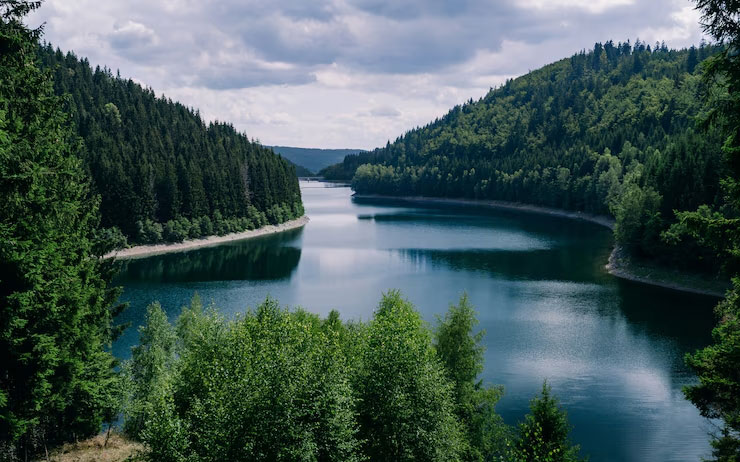 Превью статьи о реках